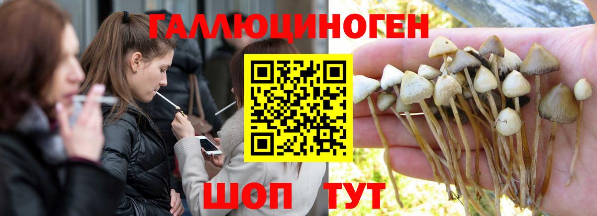 Псилоцибиновые грибы ЛСД  Вход с VPN  Великий Устюг  дарнет шоп  Псилоцибиновые грибы MAGIC MUSHROOMS 
